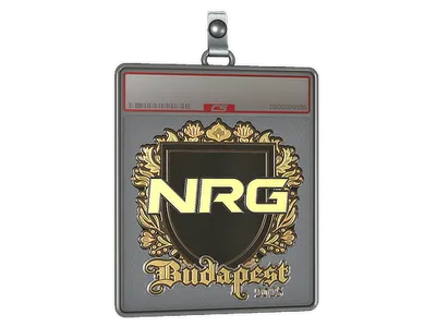 Sticker Slab | NRG (Gold) | Budapest 2025