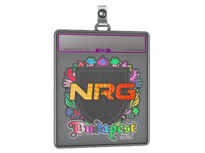 Sticker Slab | NRG (Holo) | Budapest 2025