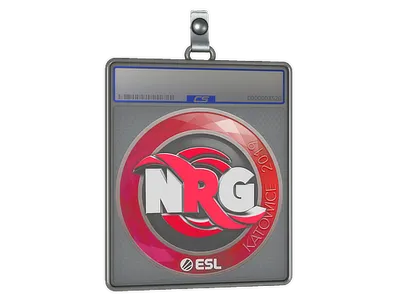 Sticker Slab | NRG | Katowice 2019