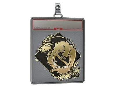 Sticker Slab | Outsiders (Gold) | Rio 2022