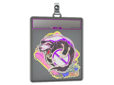 Sticker Slab | Outsiders (Holo) | Rio 2022