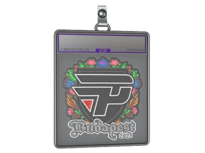 Sticker Slab | paiN Gaming (Embroidered) | Budapest 2025