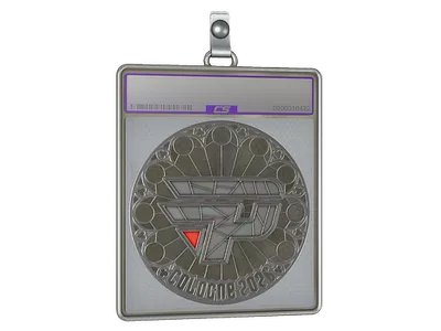 Sticker Slab | paiN Gaming (Foil) | Cologne 2026