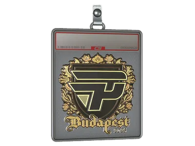 Sticker Slab | paiN Gaming (Gold) | Budapest 2025