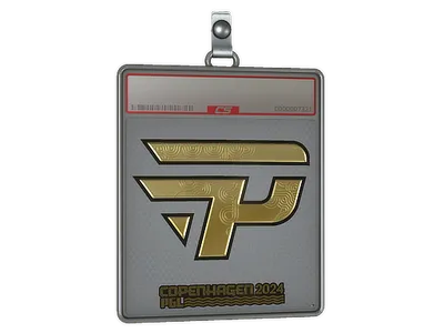 Sticker Slab | paiN Gaming (Gold) | Copenhagen 2024