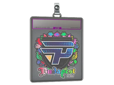 Sticker Slab | paiN Gaming (Holo) | Budapest 2025
