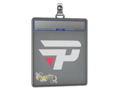 Sticker Slab | paiN Gaming | Paris 2023