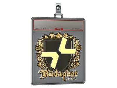 Sticker Slab | PARIVISION (Gold) | Budapest 2025