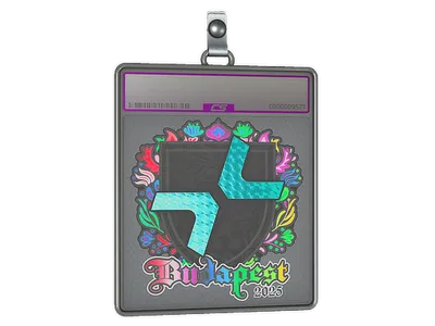 Sticker Slab | PARIVISION (Holo) | Budapest 2025