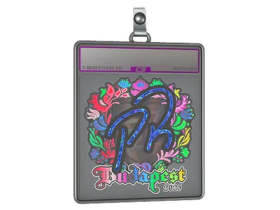 Sticker Slab | PR (Holo) | Budapest 2025