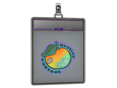 Sticker Slab | Quality Control (Holo)