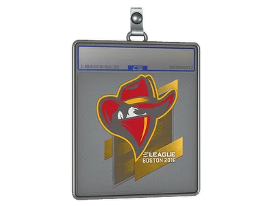 Sticker Slab | Renegades | Boston 2018