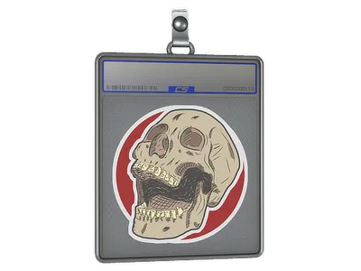 Sticker Slab | Rising Skull