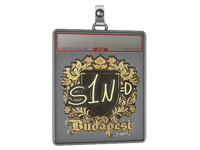 Sticker Slab | s1n (Gold) | Budapest 2025