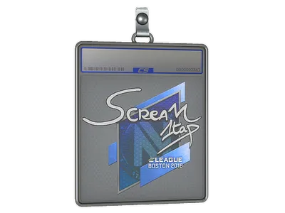 Sticker Slab | ScreaM | Boston 2018