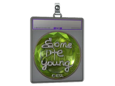 Sticker Slab | sdy (Foil) | Katowice 2019