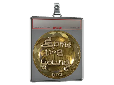 Sticker Slab | sdy (Gold) | Katowice 2019