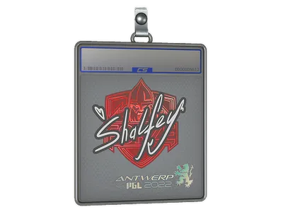 Sticker Slab | shalfey | Antwerp 2022