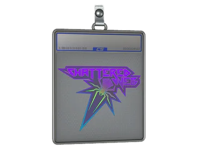 Sticker Slab | Shattered Web