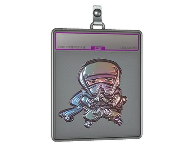 Sticker Slab | Silent Ninja (Foil)