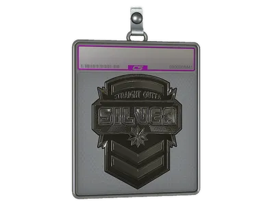 Sticker Slab | Silver (Foil)