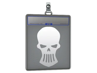 Sticker Slab | Silver Skulls