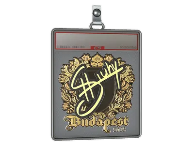 Sticker Slab | siuhy (Gold) | Budapest 2025