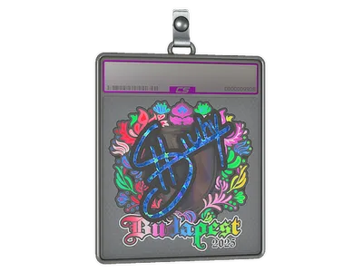 Sticker Slab | siuhy (Holo) | Budapest 2025