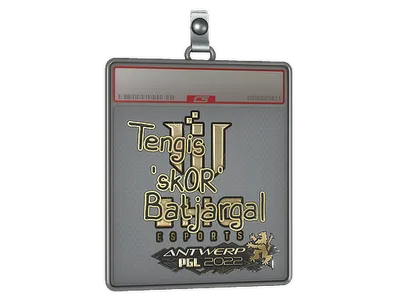 Sticker Slab | sk0R (Gold) | Antwerp 2022