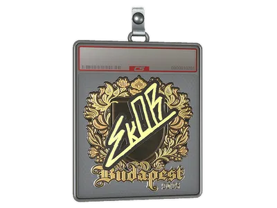 Sticker Slab | sk0R (Gold) | Budapest 2025