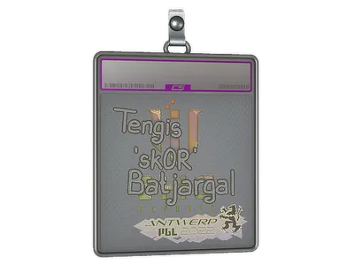 Sticker Slab | sk0R (Holo) | Antwerp 2022