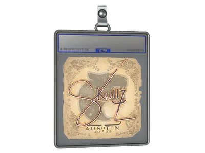 Sticker Slab | skullz | Austin 2025