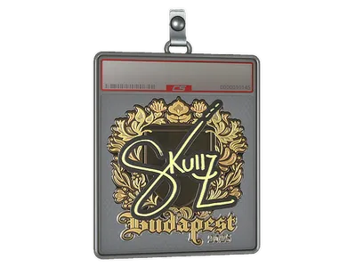 Sticker Slab | skullz (Gold) | Budapest 2025