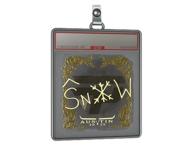 Sticker Slab | snow (Gold) | Austin 2025