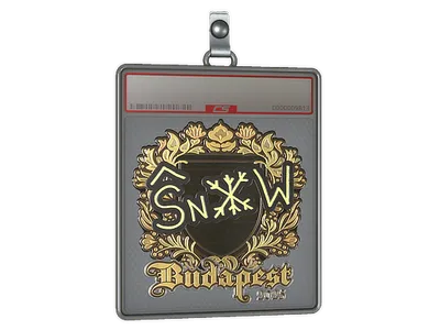 Sticker Slab | snow (Gold) | Budapest 2025