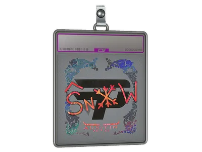 Sticker Slab | snow (Holo) | Austin 2025