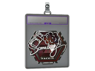 Sticker Slab | somebody (Foil) | London 2018