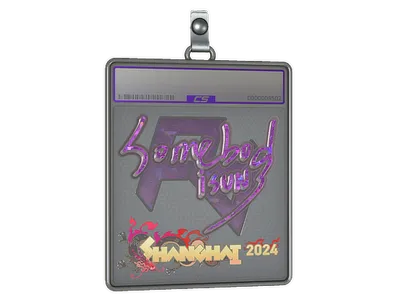 Sticker Slab | somebody (Glitter) | Shanghai 2024