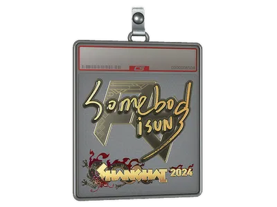 Sticker Slab | somebody (Gold) | Shanghai 2024