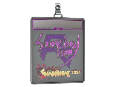 Sticker Slab | somebody (Holo) | Shanghai 2024