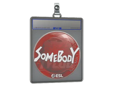 Sticker Slab | somebody | Katowice 2019