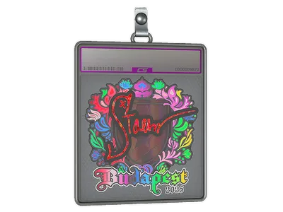 Sticker Slab | Staehr (Holo) | Budapest 2025