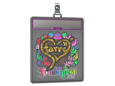 Sticker Slab | Starry (Holo) | Budapest 2025