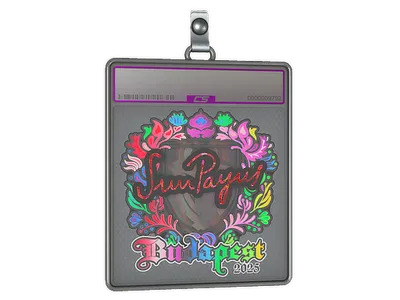 Sticker Slab | SunPayus (Holo) | Budapest 2025