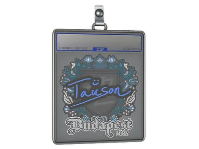 Sticker Slab | Tauson | Budapest 2025