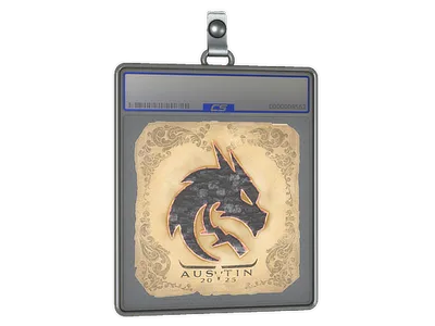 Sticker Slab | Team Spirit | Austin 2025