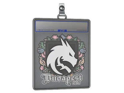 Sticker Slab | Team Spirit | Budapest 2025