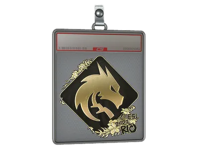 Sticker Slab | Team Spirit (Gold) | Rio 2022