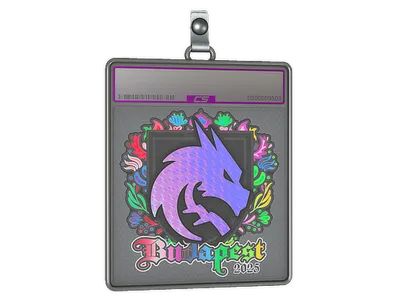 Sticker Slab | Team Spirit (Holo) | Budapest 2025