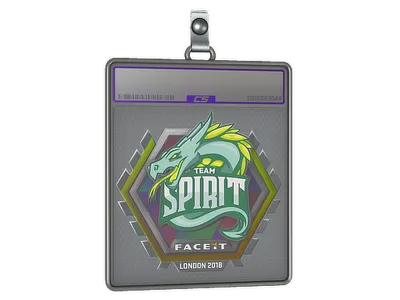 Sticker Slab | Team Spirit (Holo) | London 2018
